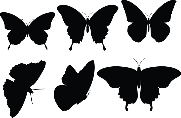 Butterfly 132