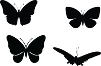 Butterfly 133
