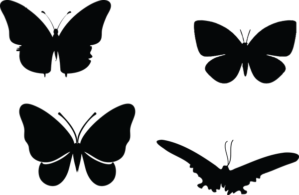 Butterfly 133