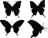 Butterfly 135