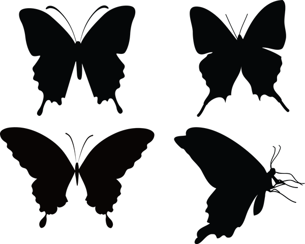 Butterfly 135