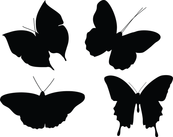 Butterfly 137