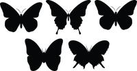 Butterfly 138