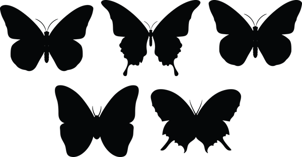 Butterfly 138