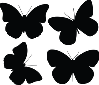 Butterfly 139