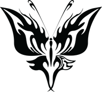 Butterfly 13
