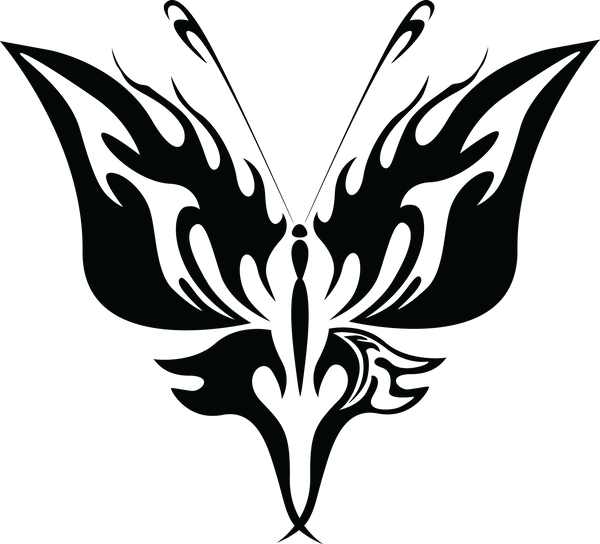 Butterfly 13