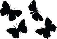 Butterfly 140