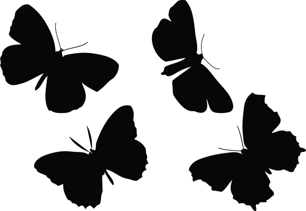 Butterfly 140