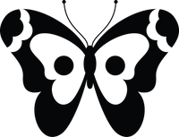 Butterfly 15