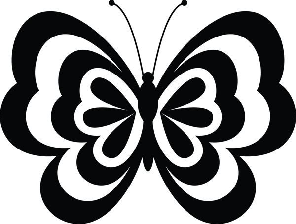 Butterfly 16