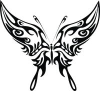 Butterfly 17