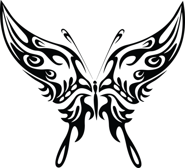 Butterfly 17