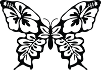 Butterfly 19
