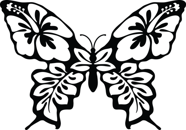 Butterfly 19