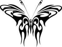 Butterfly 20