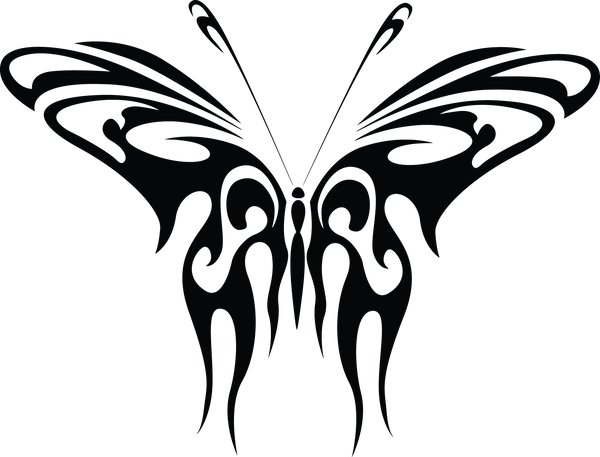 Butterfly 20