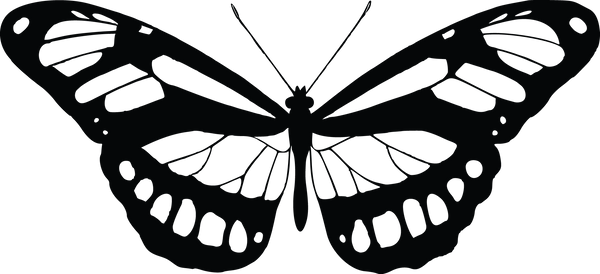 Butterfly 21