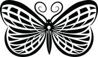 Butterfly 22