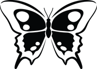 Butterfly 23