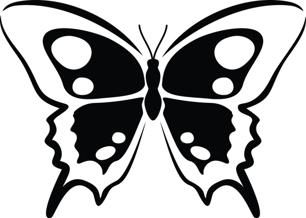 Butterfly 23