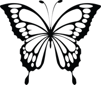 Butterfly 25
