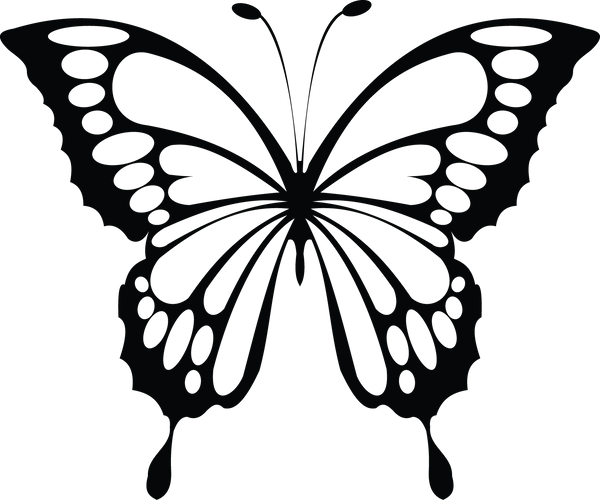Butterfly 25