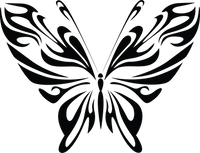 Butterfly 26