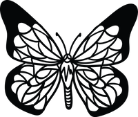 Butterfly 27