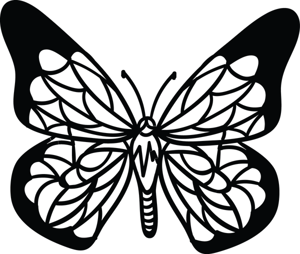 Butterfly 27