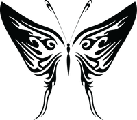 Butterfly 28