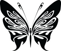 Butterfly 29