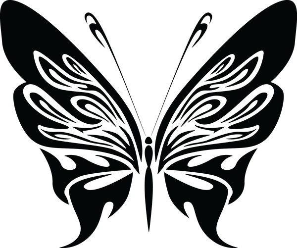 Butterfly 29