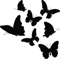 Butterfly 2