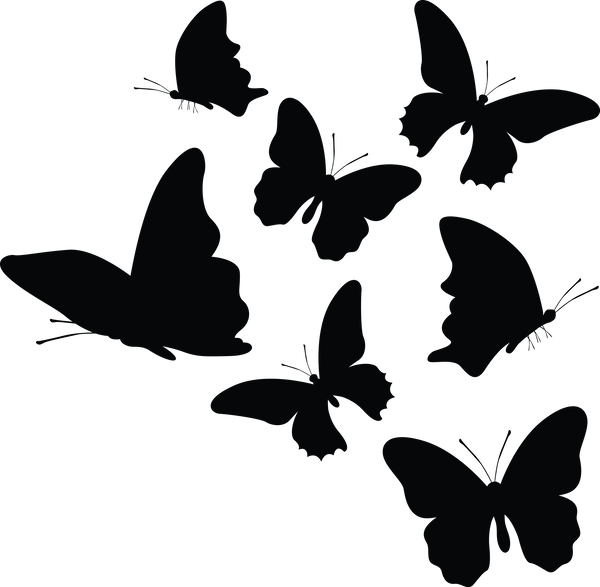 Butterfly 2