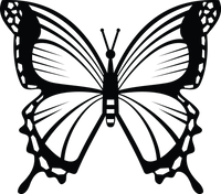 Butterfly 30