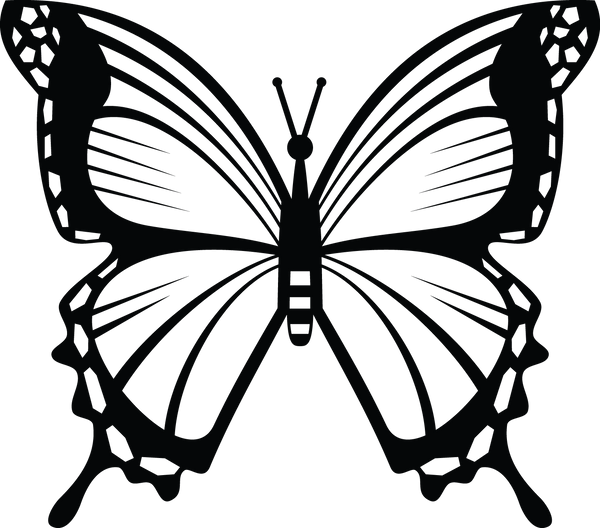 Butterfly 30