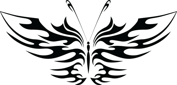 Butterfly 31