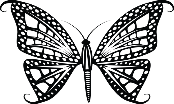 Butterfly 33