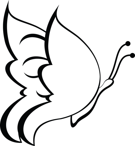 Butterfly 38