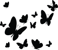Butterfly 3