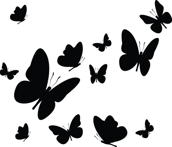 Butterfly 3