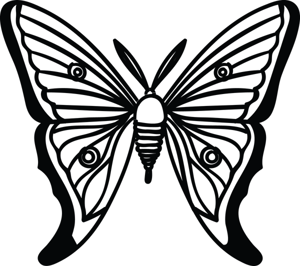 Butterfly 40
