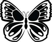 Butterfly 42