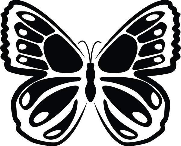 Butterfly 42