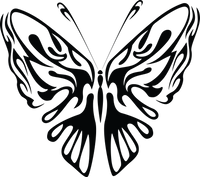 Butterfly 44