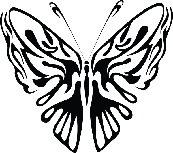 Butterfly 44