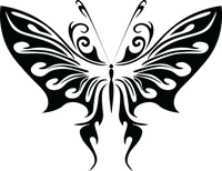 Butterfly 47