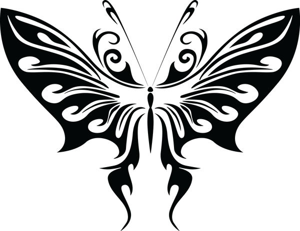 Butterfly 47