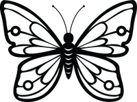 Butterfly 48